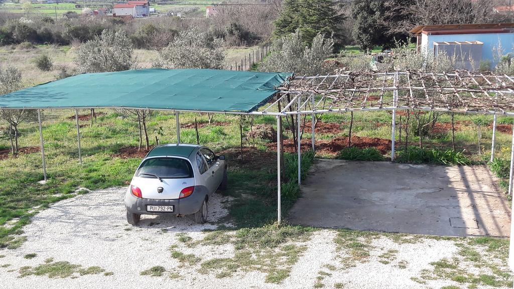 Apartment Greeny Galižana エクステリア 写真